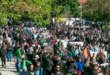 Desfile de 7 de Setembro reúne milhares e destaca o amor de Toledo à Pátria