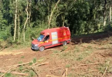 Homem morre após ser atingido por árvore em acidente de trabalho na região
