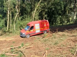 Homem morre após ser atingido por árvore em acidente de trabalho na região