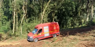 Homem morre após ser atingido por árvore em acidente de trabalho na região