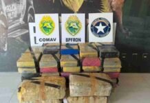 Mais de 413 quilos de maconha são apreendidos em carro na PR-323, em Perobal