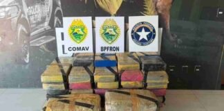 Mais de 413 quilos de maconha são apreendidos em carro na PR-323, em Perobal