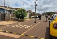 Menino de 7 anos morre ao ser atacado por pit bull no quintal de casa em Apucarana