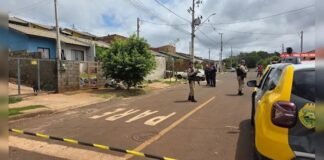Menino de 7 anos morre ao ser atacado por pit bull no quintal de casa em Apucarana