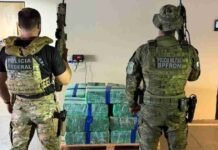 Quase 400 kg de maconha são encontrados em casa usada como depósito em Marechal Cândido Rondon