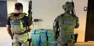 Quase 400 kg de maconha são encontrados em casa usada como depósito em Marechal Cândido Rondon