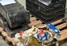 Quase 740 kg de maconha são encontrados escondidos em mata às margens do Lago em Guaíra