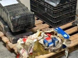 Quase 740 kg de maconha são encontrados escondidos em mata às margens do Lago em Guaíra
