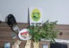 ROTAM APREENDE CRACK, MACONHA E PRENDE DUAS PESSOAS EM RESIDÊNCIA DE TOLEDO