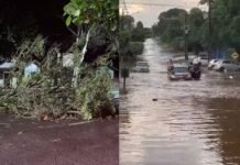 TEMPORAL CAUSA ESTRAGOS EM TERRA ROXA E REGIÃO OESTE ESTÁ EM ALERTA VERMELHO PARA NOVAS TEMPESTADES