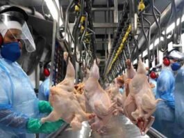 UNIÃO EUROPEIA SUSPENDE IMPORTAÇÕES DE CARNES E PRODUTOS DE ORIGEM ANIMAL DO BRASIL