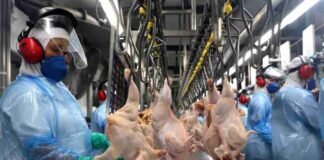 UNIÃO EUROPEIA SUSPENDE IMPORTAÇÕES DE CARNES E PRODUTOS DE ORIGEM ANIMAL DO BRASIL