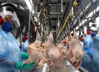 UNIÃO EUROPEIA SUSPENDE IMPORTAÇÕES DE CARNES E PRODUTOS DE ORIGEM ANIMAL DO BRASIL