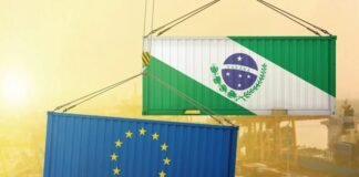Veto da UE pode ter impacto de US 392 milhões por ano na pecuária do Paraná