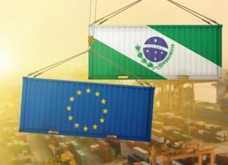 Veto da UE pode ter impacto de US 392 milhões por ano na pecuária do Paraná