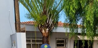Ademar Dorfschmidt participa de adesivaço em apoio a Flávio Bolsonaro em Toledo