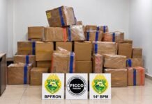 CARGA MILIONÁRIA DE MACONHA ESTAVA ESCONDIDA ENTRE SACOLAS PLÁSTICAS EM CAMINHÃO NA BR-277