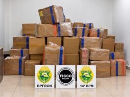 CARGA MILIONÁRIA DE MACONHA ESTAVA ESCONDIDA ENTRE SACOLAS PLÁSTICAS EM CAMINHÃO NA BR-277