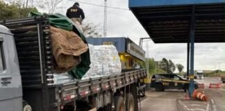 Caminhão com mais de 800 kg de maconha é apreendido na região