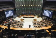 Paraná elege 30 deputados federais; veja quem são