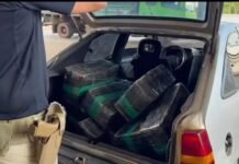 Carro com 219 quilos de maconha é apreendido na BR-163 em Guaíra