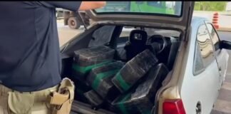 Carro com 219 quilos de maconha é apreendido na BR-163 em Guaíra
