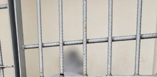 Homem é detido com motocicleta furtada após ocorrência em residência de Toledo