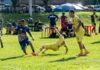 Chaves Ouro e Prata concluem 2ª fase e definem duelos dos 16 avos de final