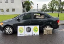 Criança de um ano estava com traficantes que foram presos com 500 kg de maconha na fronteira