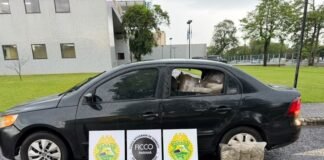 Criança de um ano estava com traficantes que foram presos com 500 kg de maconha na fronteira