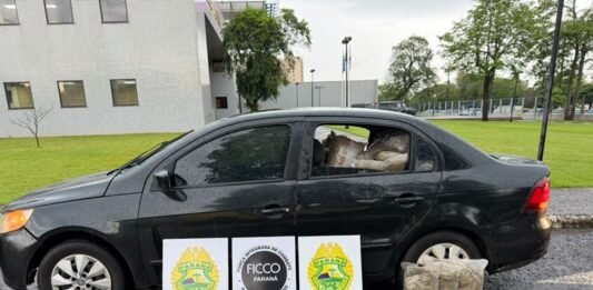 Criança de um ano estava com traficantes que foram presos com 500 kg de maconha na fronteira
