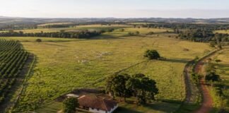 Criminosos arrombam propriedade rural e furtam Ford Ranger, eletrônicos e R 14,9 mil em Marechal Rondon