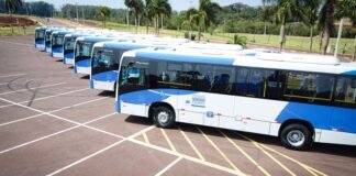 Transporte coletivo será gratuito em Toledo no domingo de eleições