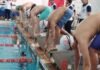 Equipe de natação de Toledo conquista 46 medalhas em Cascavel