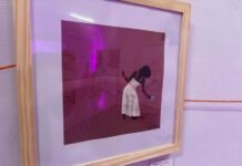 Exposição “Míralas” é aberta para visitação no Museu Willy Barth