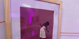 Exposição “Míralas” é aberta para visitação no Museu Willy Barth