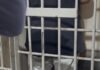 Homem é encaminhado à delegacia após abordagem na Agência do Trabalhador em Toledo