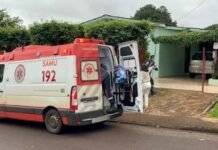 Idosa morre após cair em tanque de peixes
