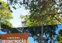 Campanha pela reconstrução da Gruta do Seminário Maria Mãe da Igreja é lançada em Toledo