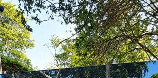 Campanha pela reconstrução da Gruta do Seminário Maria Mãe da Igreja é lançada em Toledo