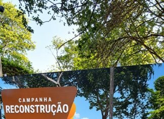 Campanha pela reconstrução da Gruta do Seminário Maria Mãe da Igreja é lançada em Toledo