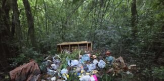 MATA VIRA DEPÓSITO DE LIXO EM NOVA SANTA ROSA E DENÚNCIA FEITA HÁ QUASE DEZ MESES SEGUE SEM RESPOSTA, AFIRMA MORADOR