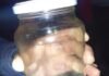 MORADORA ENCONTRA COBRA-CORAL DENTRO DE CASA E ACIONA GUARDA MUNICIPAL EM TOLEDO