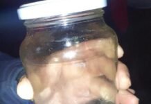 MORADORA ENCONTRA COBRA-CORAL DENTRO DE CASA E ACIONA GUARDA MUNICIPAL EM TOLEDO