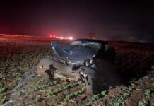 Morador de Vila Nova morre após colisão traseira na PR-239, em Toledo