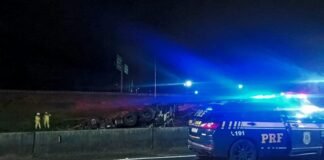 Motorista morre após caminhão com carga de madeira tombar na BR-116, em Quatro Barras