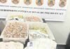 PF prende dois passageiros com cerca de 1,9 mil ampolas de medicamentos no Aeroporto de Foz do Iguaçu
