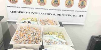 PF prende dois passageiros com cerca de 1,9 mil ampolas de medicamentos no Aeroporto de Foz do Iguaçu