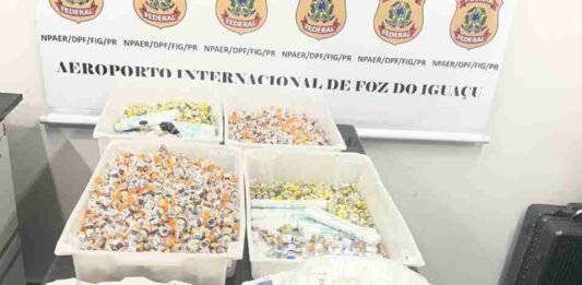 PF prende dois passageiros com cerca de 1,9 mil ampolas de medicamentos no Aeroporto de Foz do Iguaçu