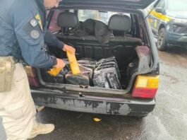 Polícia apreende 90 kg de maconha em carro em rodovia na região